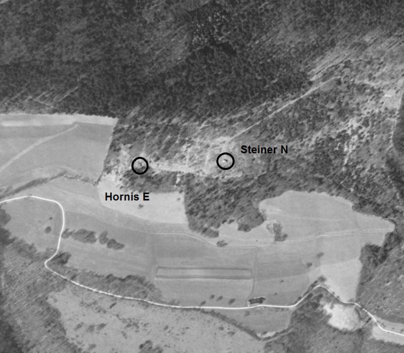 Ligne Maginot - HORNI-FERME et STEINER FERME -  - IGN - Géoportail 1956