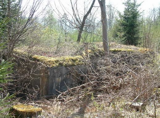 Ligne Maginot - HORNIS - (Abri) - 