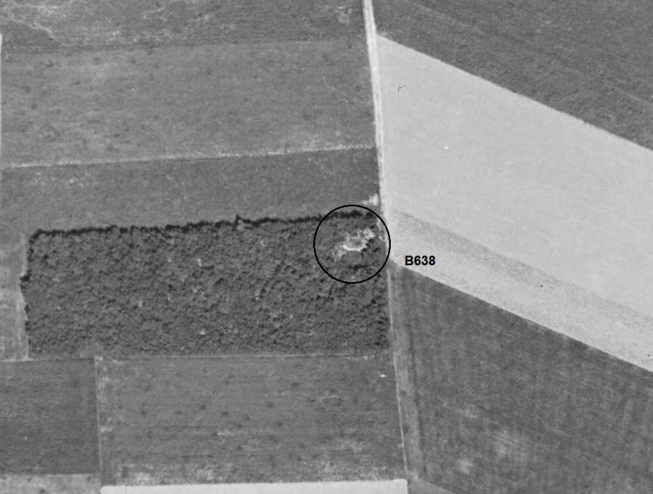 Ligne Maginot - B638 - PETIT BOSQUET - (Blockhaus pour canon) -  - IGN