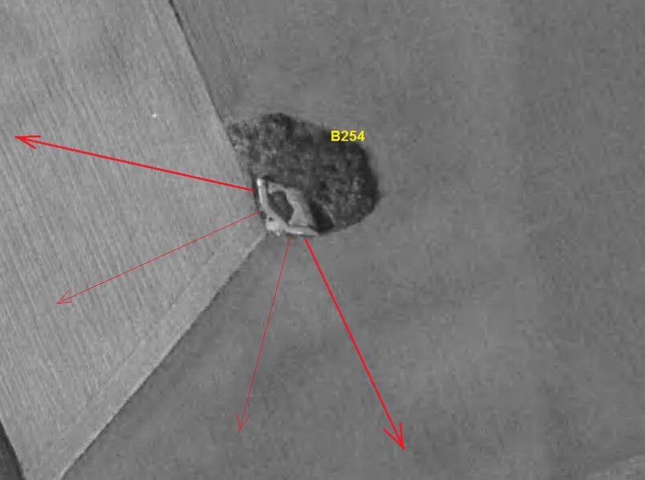 Ligne Maginot - B254 - LES MEURINS - (Blockhaus pour canon) -  - IGN - Géoportail 1965