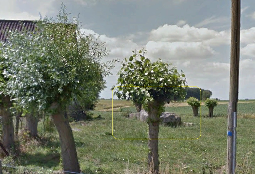 Ligne Maginot - T8 - CALLEBECK (Cuve pour arme d'infanterie) -  - Google Streetview