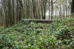 Ligne Maginot - BA17 - CARREFOUR ALEXANDRE - (Blockhaus pour canon) - L'avant du bloc est bien camouflé