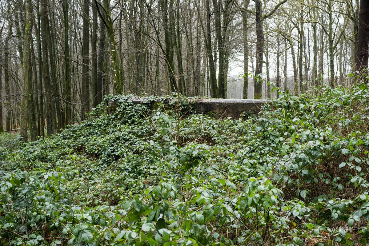 Ligne Maginot - BA17 - CARREFOUR ALEXANDRE - (Blockhaus pour canon) - L'avant du bloc est bien camouflé