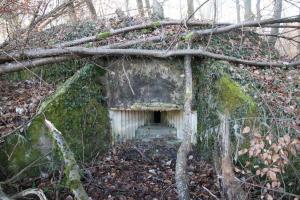 Ligne Maginot - BUCHWALD SUD - (Blockhaus pour arme infanterie) - Créneau frontal