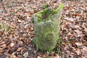 Ligne Maginot - BUCHWALD SUD - (Blockhaus pour arme infanterie) - Remarquable. Les aérations sont camouflées en petits troncs d'arbres