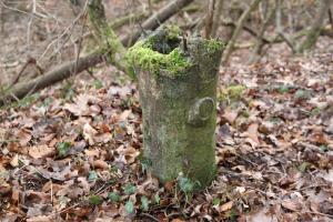 Ligne Maginot - BUCHWALD SUD - (Blockhaus pour arme infanterie) - Remarquable. Les aérations sont camouflées en petits troncs d'arbres