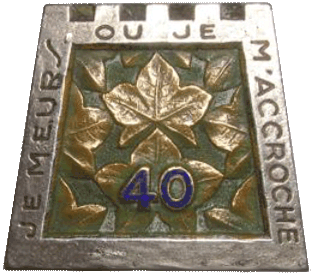 Insigne de la 40° Demi Brigade Alpine de Fortification