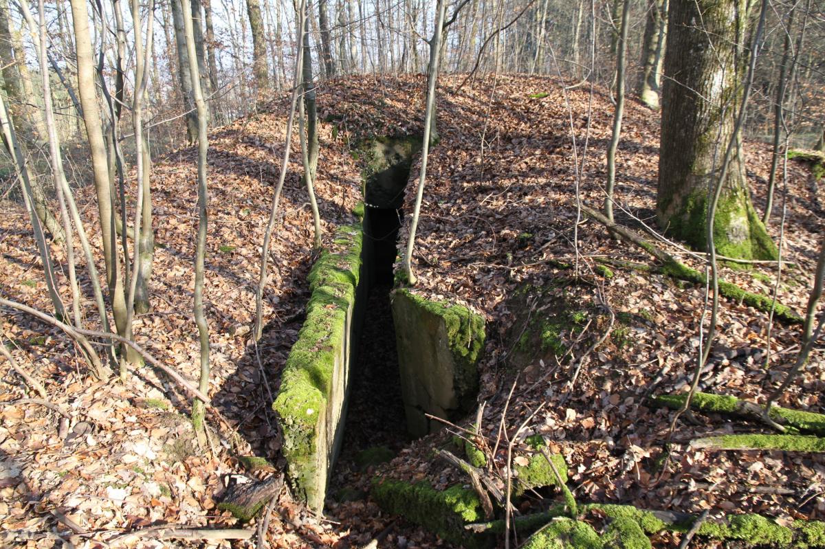 Ligne Maginot - BUCHWALD NORD - (Blockhaus pour arme infanterie) - L'accès arrière du bloc - Alain Perouffe