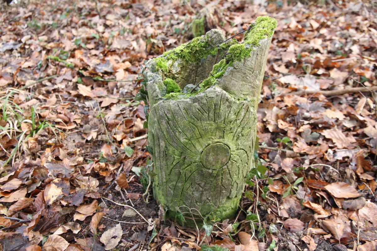 Ligne Maginot - BUCHWALD SUD - (Blockhaus pour arme infanterie) - Remarquable. Les aérations sont camouflées en petits troncs d'arbres - Alain Perouffe