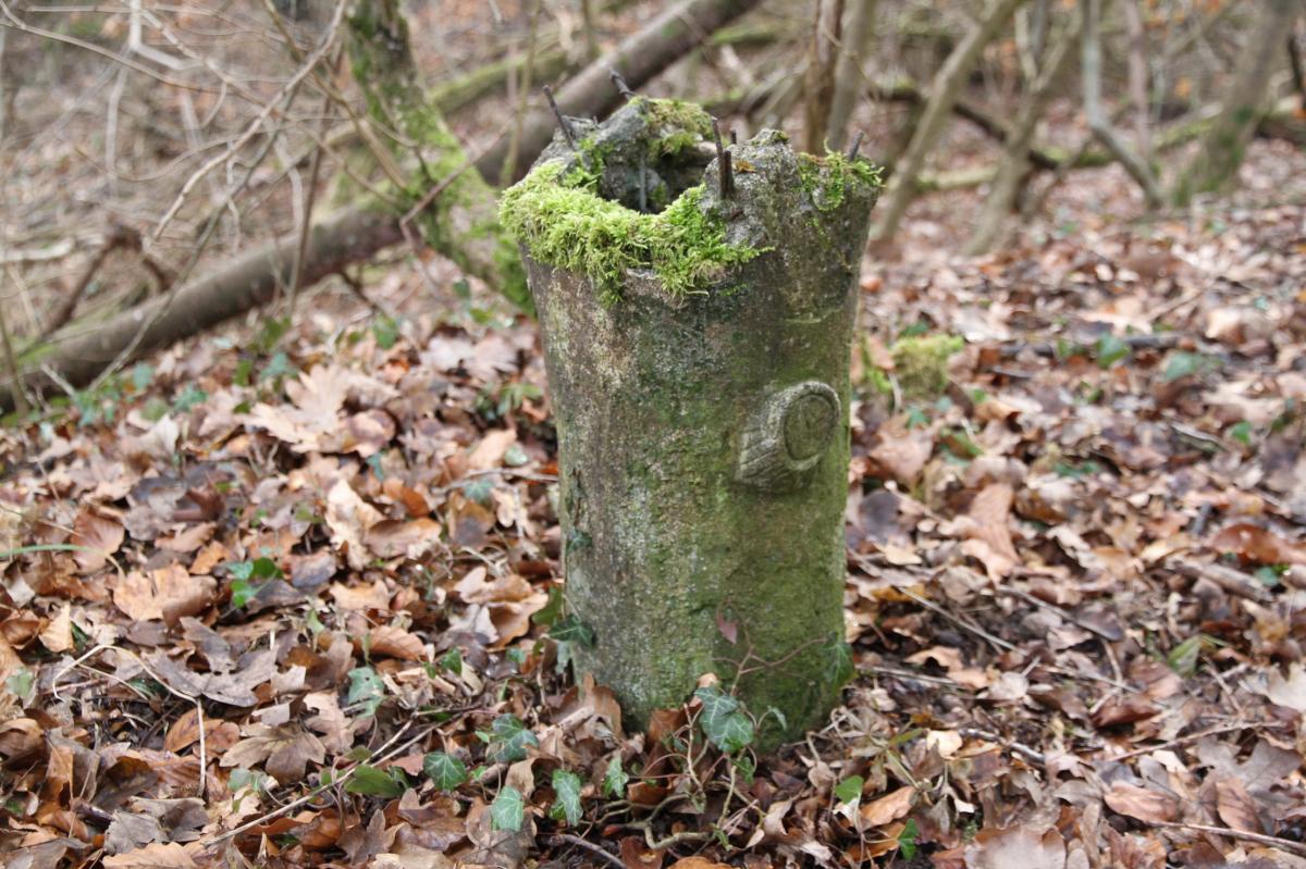 Ligne Maginot - BUCHWALD SUD - (Blockhaus pour arme infanterie) - Remarquable. Les aérations sont camouflées en petits troncs d'arbres