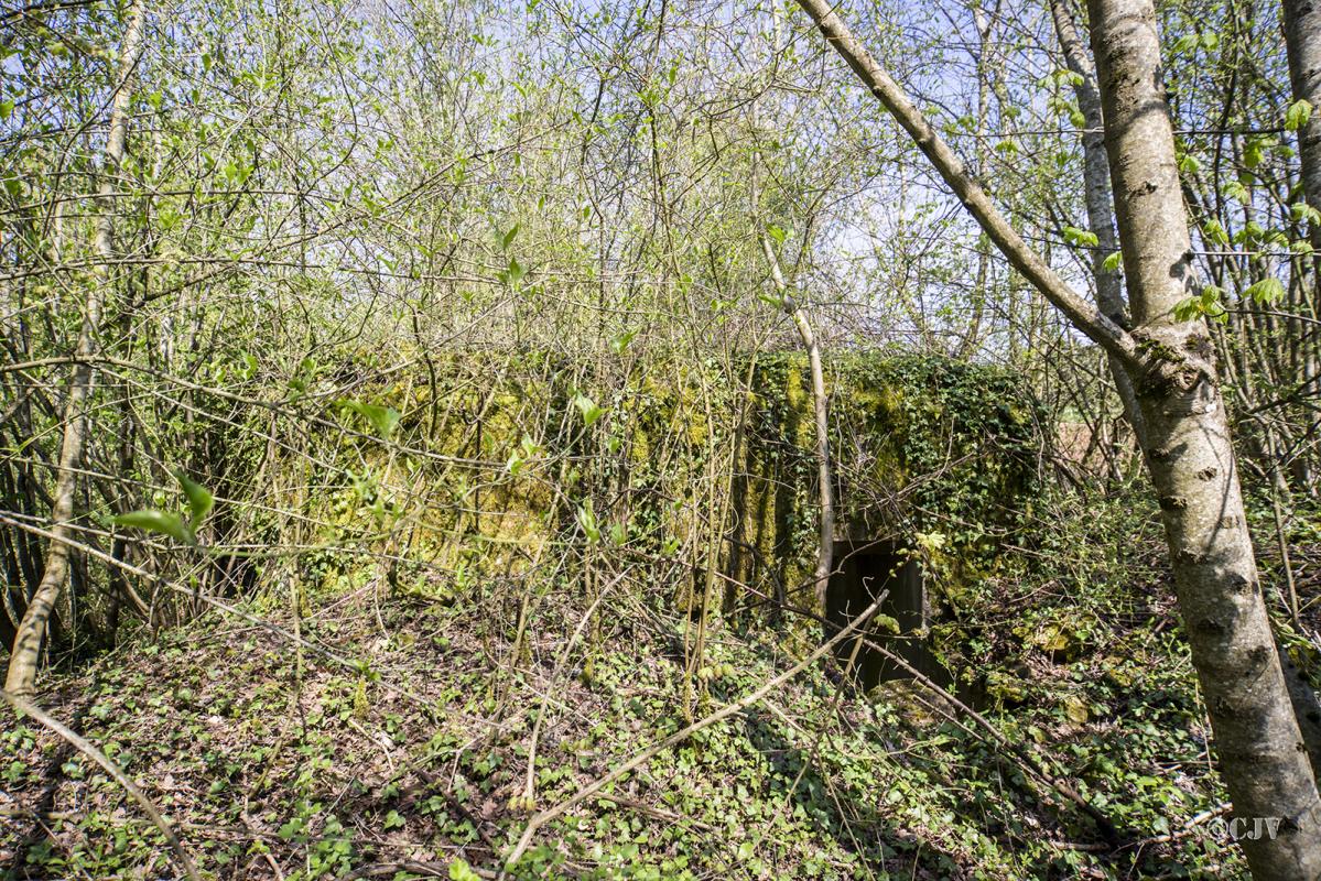 Ligne Maginot - DB35 - FROIDCUL - (Blockhaus pour canon) - Vue de l'arrière - Lia VERMEULEN
