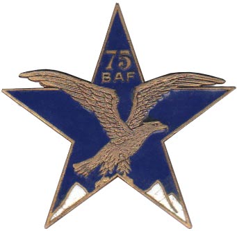 Insigne de la SES du 75° BAF
