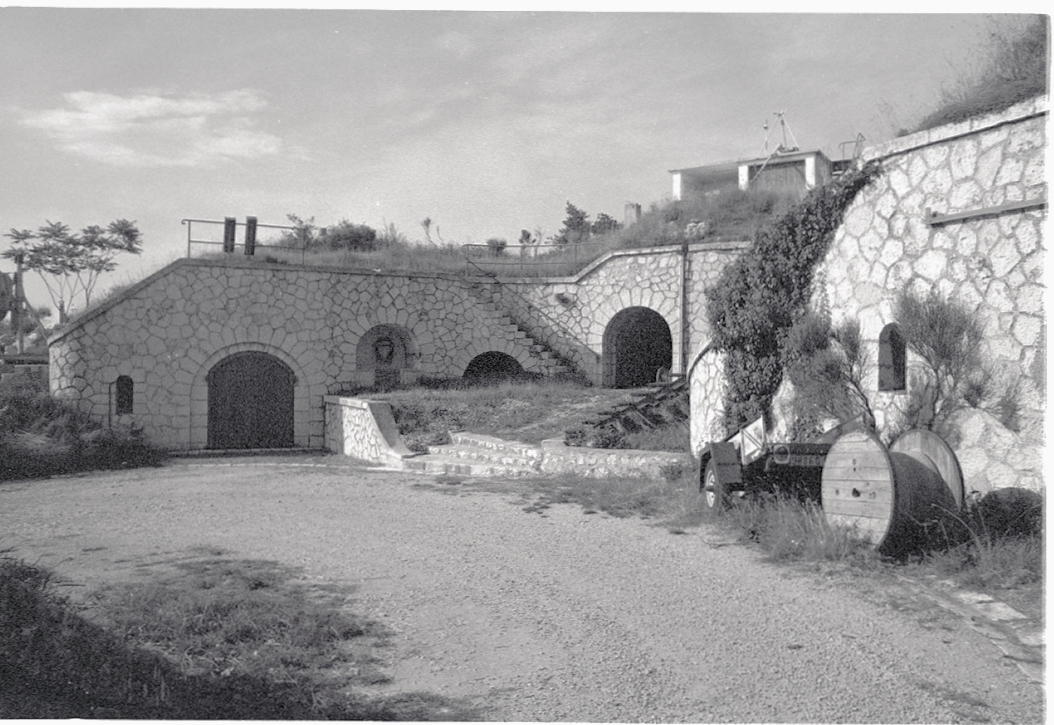 Ligne Maginot - TETE DE CHIEN - FORT MASSENA (6° BIE - 157° RAP) - (Position d'artillerie préparée) - 
