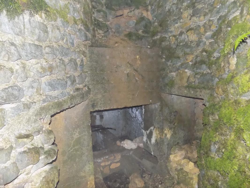 Ligne Maginot - 27A - RIMONNEAU EST - (Blockhaus pour canon) - L'entrée AC et recoins - R Tucker