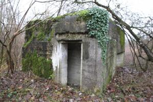 Ligne Maginot - DIGUE DE FRIESENHEIM 4 - (Blockhaus pour arme infanterie) - 