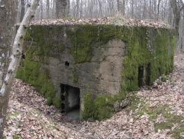 Ligne Maginot - Blcokhaus Cb443 - Entrée et créneau FM