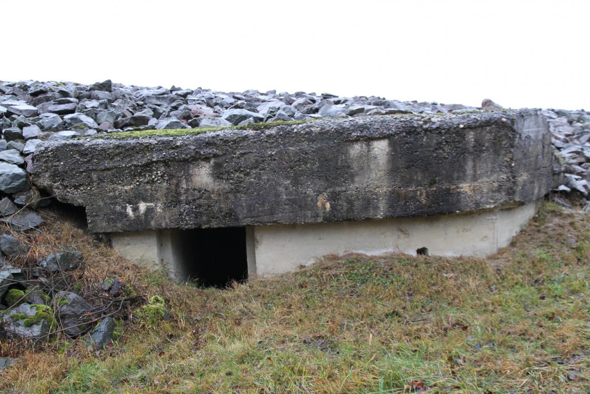 Ligne Maginot - DIGUE DE FRIESENHEIM 3 - Le bloc a été intégré dans la digue du Rhin canalisé. De peu...