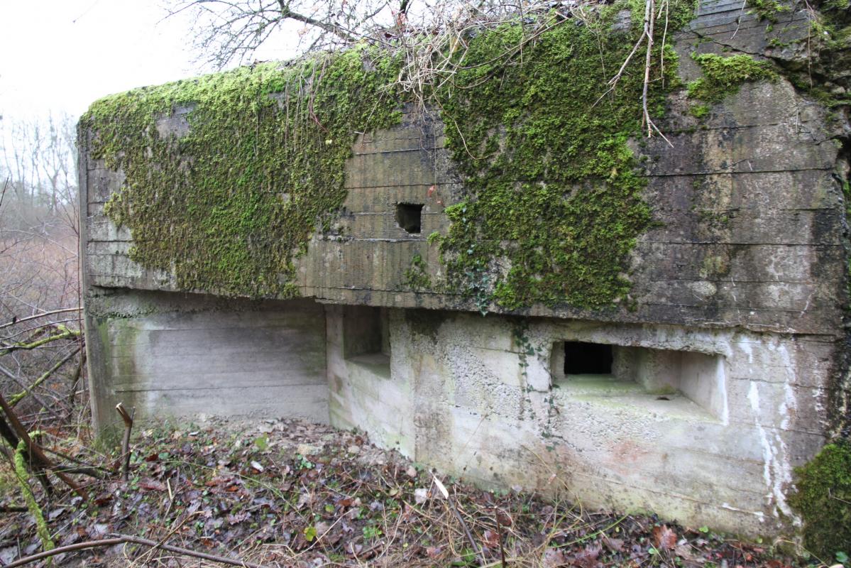 Ligne Maginot - DIGUE DE FRIESENHEIM 4 - (Blockhaus pour arme infanterie) -  - Alain Perouffe