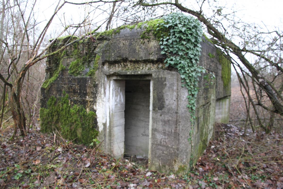 Ligne Maginot - DIGUE DE FRIESENHEIM 4 - (Blockhaus pour arme infanterie) -  - Alain Perouffe