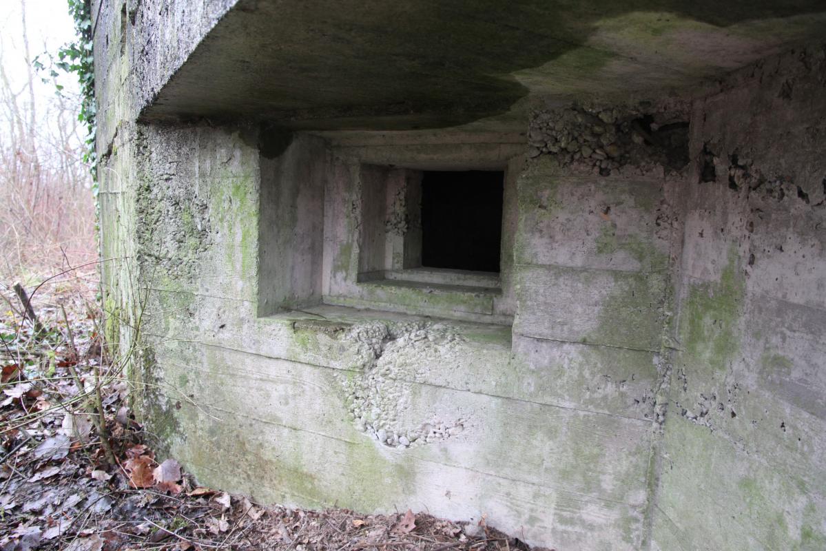 Ligne Maginot - DIGUE DE FRIESENHEIM 4 - (Blockhaus pour arme infanterie) -  - Alain Perouffe