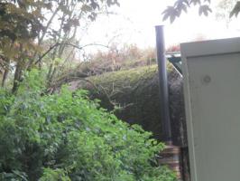 Ligne Maginot - B302 - La PASSERELLE (Blockhaus pour canon) - Vu du sentier longeant la Petite Marque.