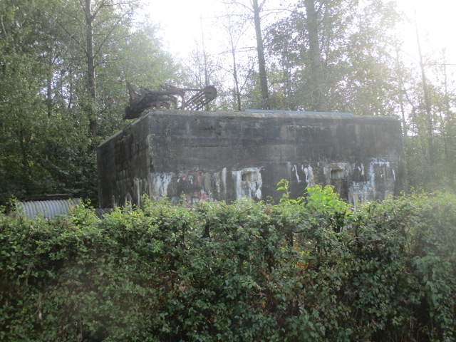 Ligne Maginot - BEF 384 - BOIS de VARLET (Abri) - Vu de la rue du Bois Bercu.