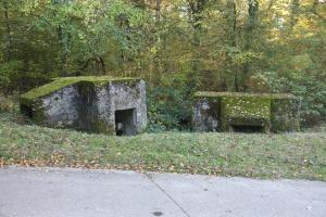 Ligne Maginot - Blockhaus BOIS de LAUDREFANG Nord 1 et 2 - 