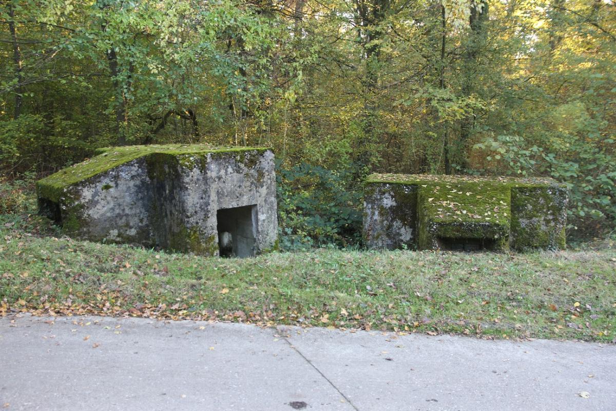 Ligne Maginot - Blockhaus BOIS de LAUDREFANG Nord 1 et 2 - 
