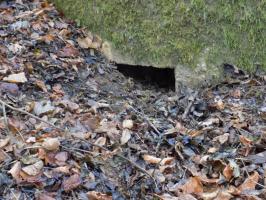 Ligne Maginot - 8BIS - LES LONGS BOYAUX EST - (Blockhaus pour canon) - Faces droite, créneau FM