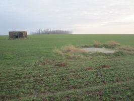 Ligne Maginot - B487 - CURGIES (PDS) - (Abri actif) - Blockhaus dans son environnement. En premier plan, le toit de l'une des deux entrées du B 487