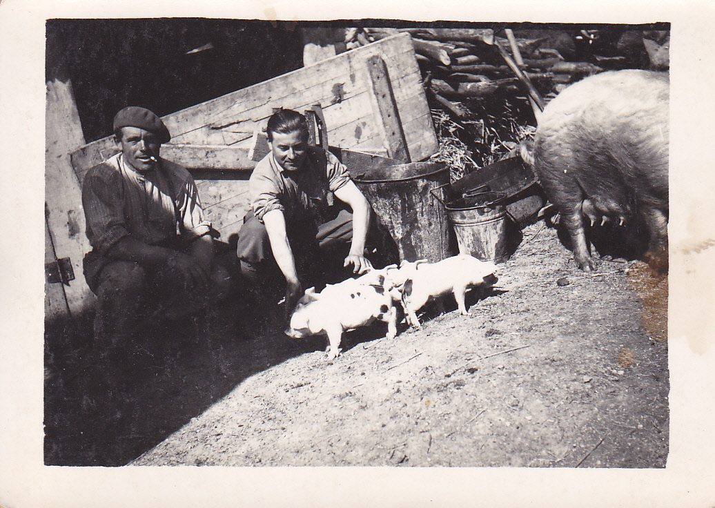Ligne Maginot - LANGHEP SUD - (Casemate d'infanterie - Simple) - C'est par déduction , mais avec toutes réserves que je vous propose plusieurs photos de ce qui devait être l’équipage du Langhep sud. La ' cabane'