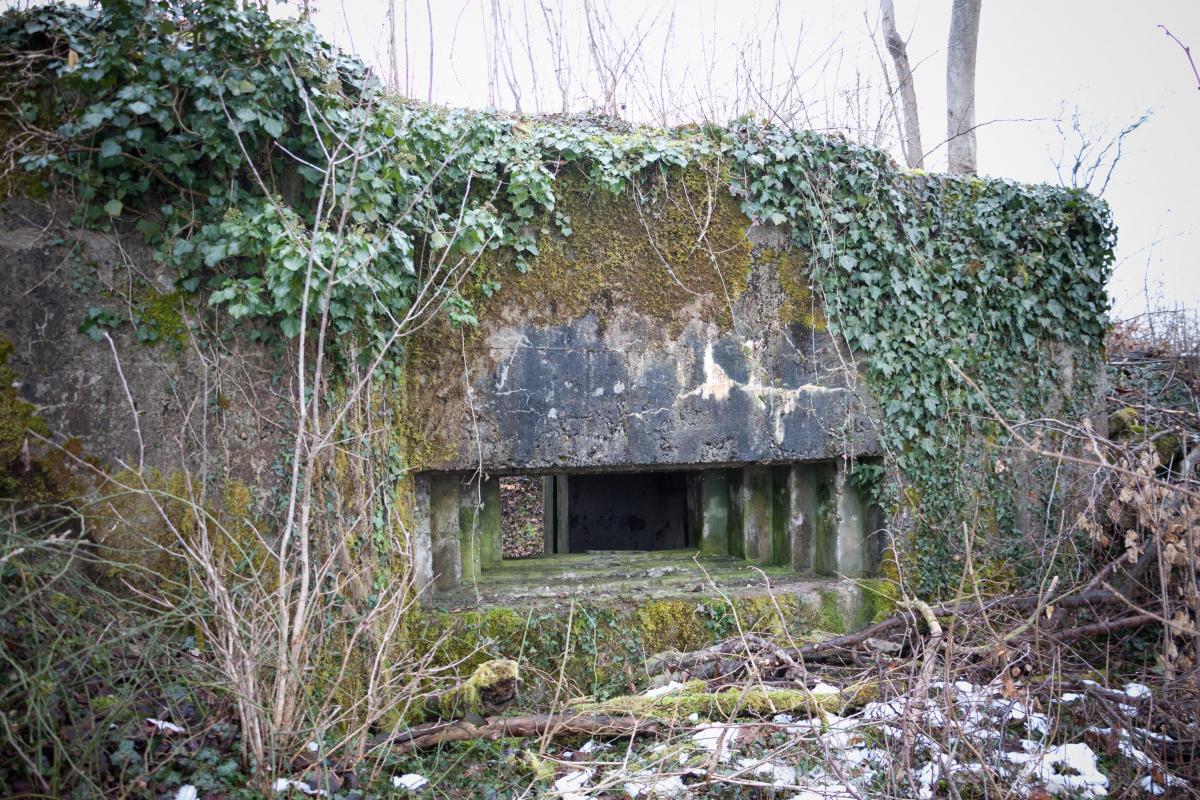 Ligne Maginot - BOIS DE KERFENT NORD 3 - (Blockhaus pour canon) - Façade avant