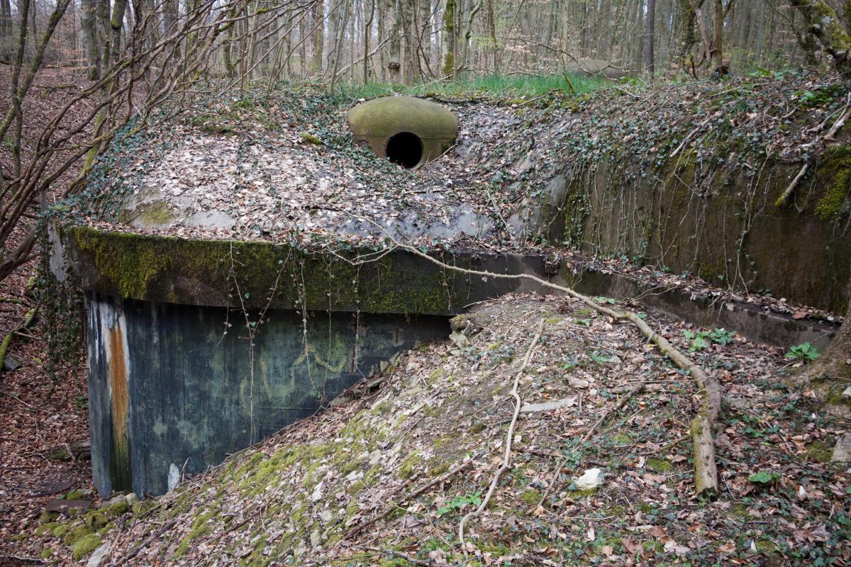 Ligne Maginot - BOIS DE LAUDREFANG SUD - C77 - (Casemate d'infanterie - Simple) - Cloche de mitrailleuses, transformée en cloche pour arme-mixte
