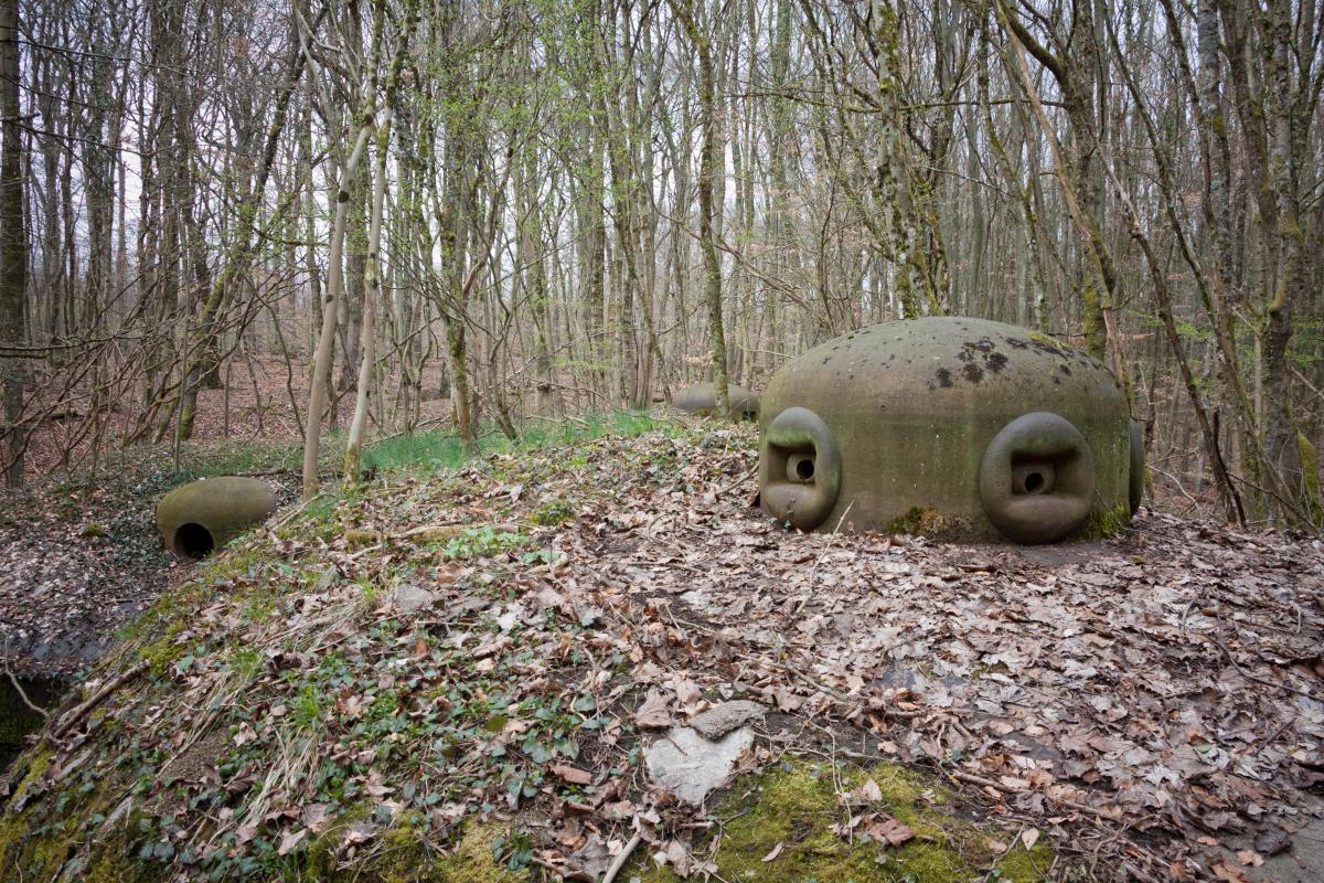 Ligne Maginot - BOIS DE LAUDREFANG SUD - C77 - (Casemate d'infanterie - Simple) - Cloche GFM type A modifiée en type B au premier plan, cloche  pour jumelage de mitrailleuses Reibel MAC 31 modifiée pour arme-mixte et, à l'arrière plan, une cloche GFM type A non modifiée 