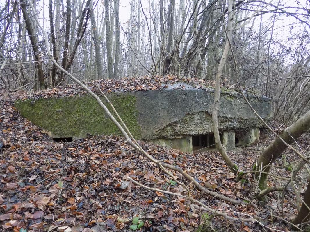 Ligne Maginot - 8BIS - LES LONGS BOYAUX EST - (Blockhaus pour canon) - Faces droite (créneau FM) et frontale