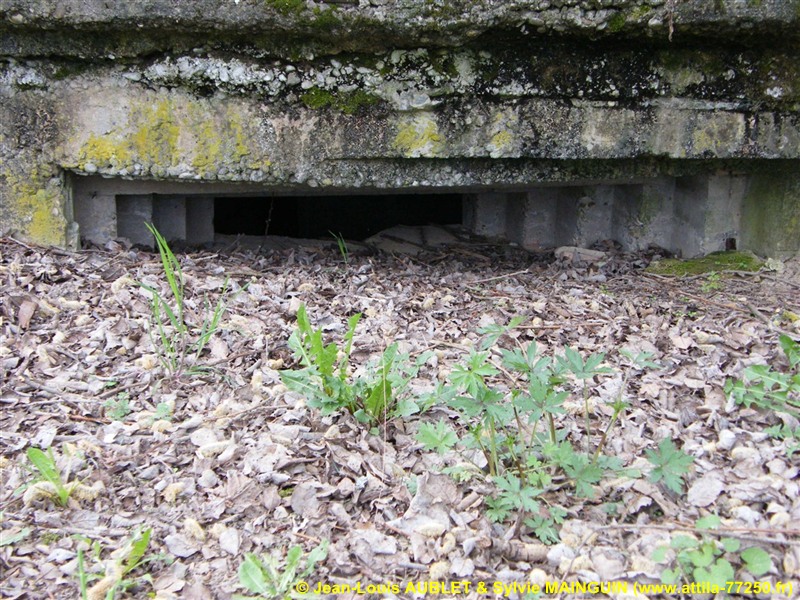 Ligne Maginot - LEMBACH NORD 1 (AVANT POSTE) - (Blockhaus pour arme infanterie) - 