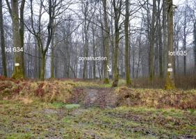 Ligne Maginot - RAUCOURT - (Camp de sureté) - Quand la forêt est en végétation le site des constructions n'est pas très visible. Le château d'eau se trouve plus proche de la RD 932 et est facilement accessible