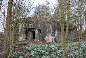Ligne Maginot - Blockhaus B 540 - RUAINCE - Le blockhaus est en bordure du chemin du Bois sur la commune de La Flamengrie (59)presque complétement dissimulé par la végétation