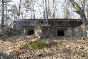 Ligne Maginot - BIESENBERG - (Casemate d'artillerie) - 