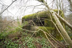 Ligne Maginot - B807 - HAIE D'ANOR - (Blockhaus pour canon) - 