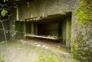 Ligne Maginot - B807 - HAIE D'ANOR - (Blockhaus pour canon) - 