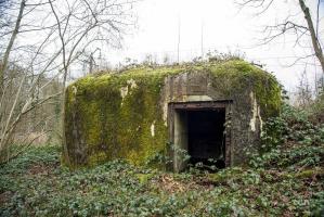 Ligne Maginot - B807 - HAIE D'ANOR - (Blockhaus pour canon) - 