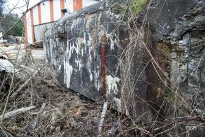 Ligne Maginot - DAMBACH SCIERIE - (Blockhaus pour arme infanterie) - 