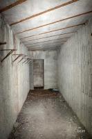 Ligne Maginot - DAUBENSAND 1 - (Abri) - 
