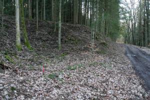 Ligne Maginot - NEUNHOFFEN NORD OUEST 5 - (Blockhaus pour canon) - Fouilles