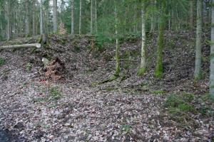 Ligne Maginot - NEUNHOFFEN NORD OUEST 5 - (Blockhaus pour canon) - Fouilles