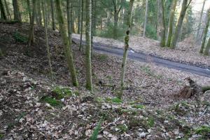 Ligne Maginot - NEUNHOFFEN NORD OUEST 5 - (Blockhaus pour canon) - Fouilles