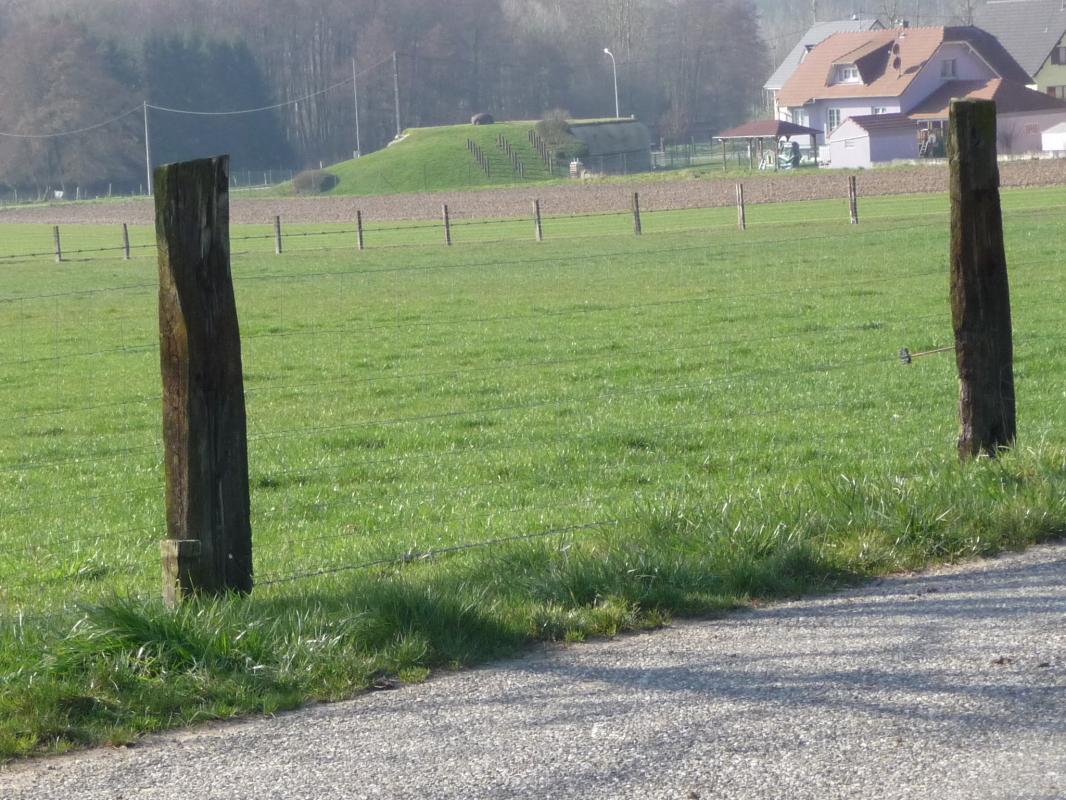 Ligne Maginot - OBERROEDERN NORD EST - (Barrage de Route) - Le barrage était sous la surveillance de la casemate Rieffel