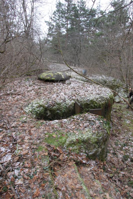 Ligne Maginot - FORT DE MUTZIG - (Ouvrage d'artillerie) - BATTERIE 3
Pièces de 10 sous bouclier