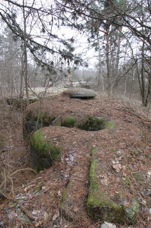 Ligne Maginot - FORT DE MUTZIG - (Ouvrage d'artillerie) - BATTERIE 4
Pièce de 10 sous bouclier